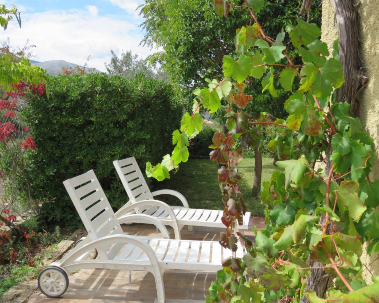 Venta - Finca - Jalon Valley - Benigembla