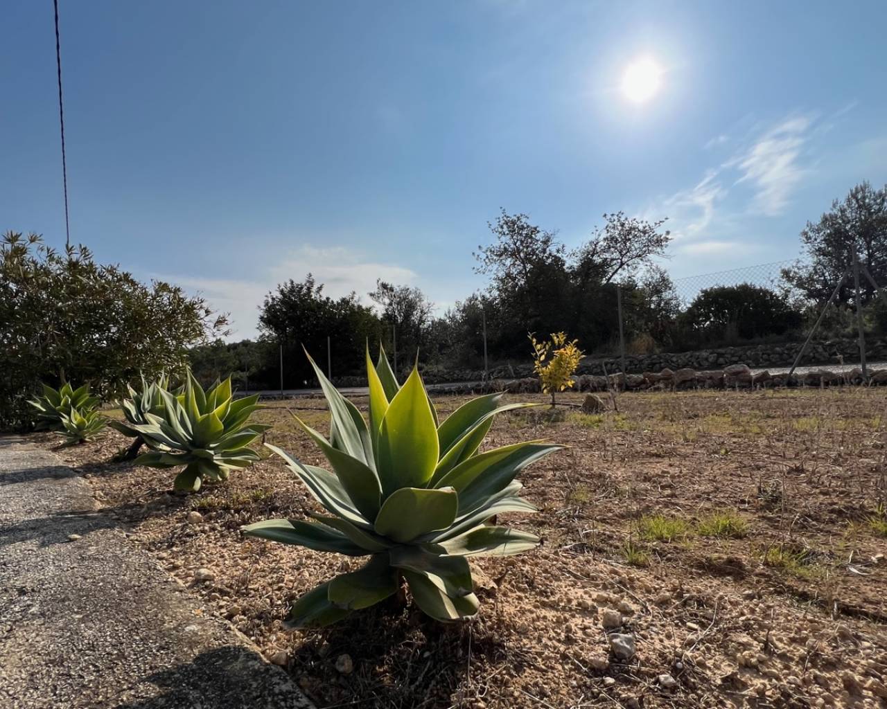 Vente - Finca - Benissa - Canor