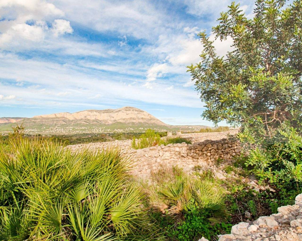 Vente - Finca - Gata De Gorgos - Gata de Gorgos