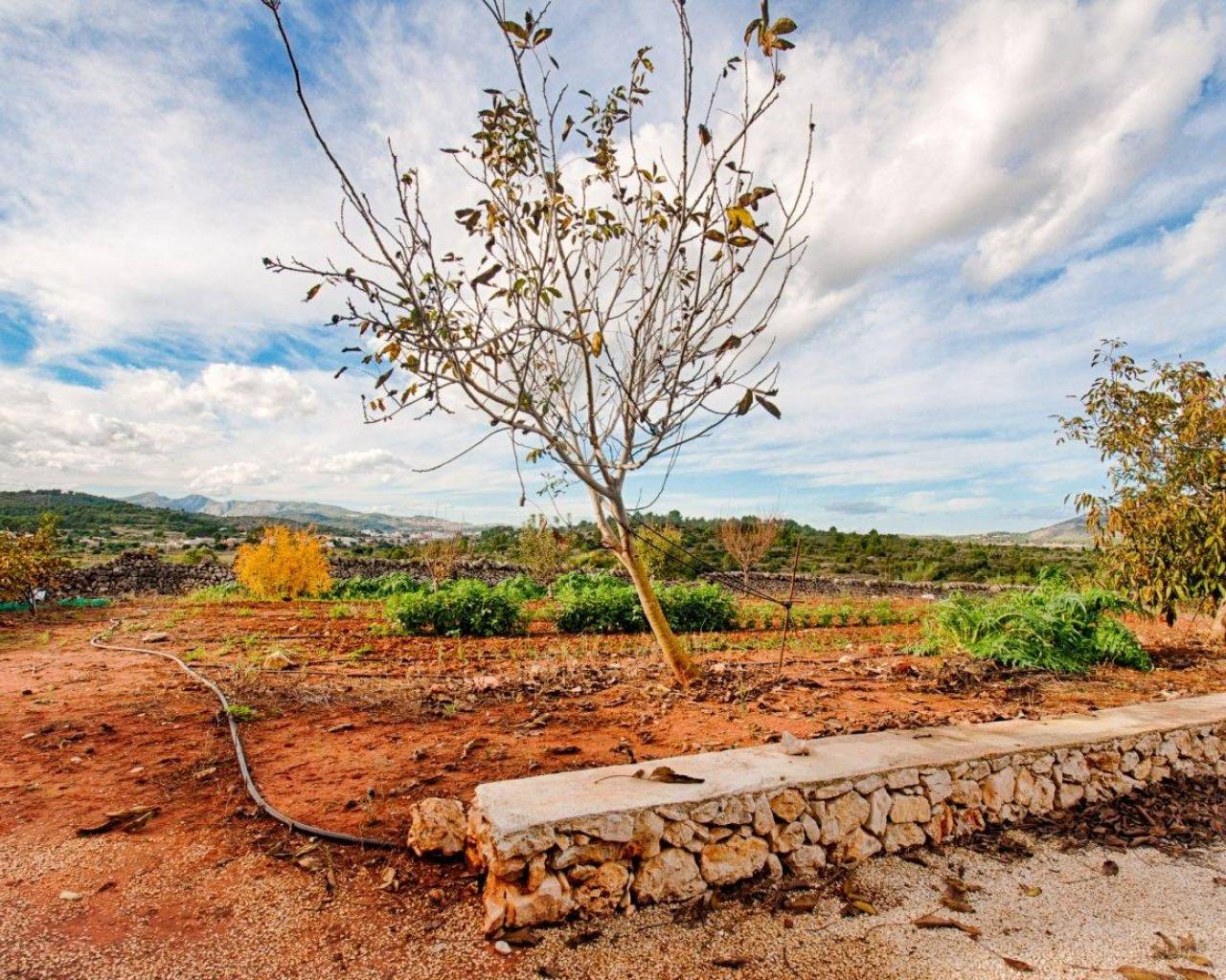 Vente - Finca - Gata De Gorgos - Gata de Gorgos