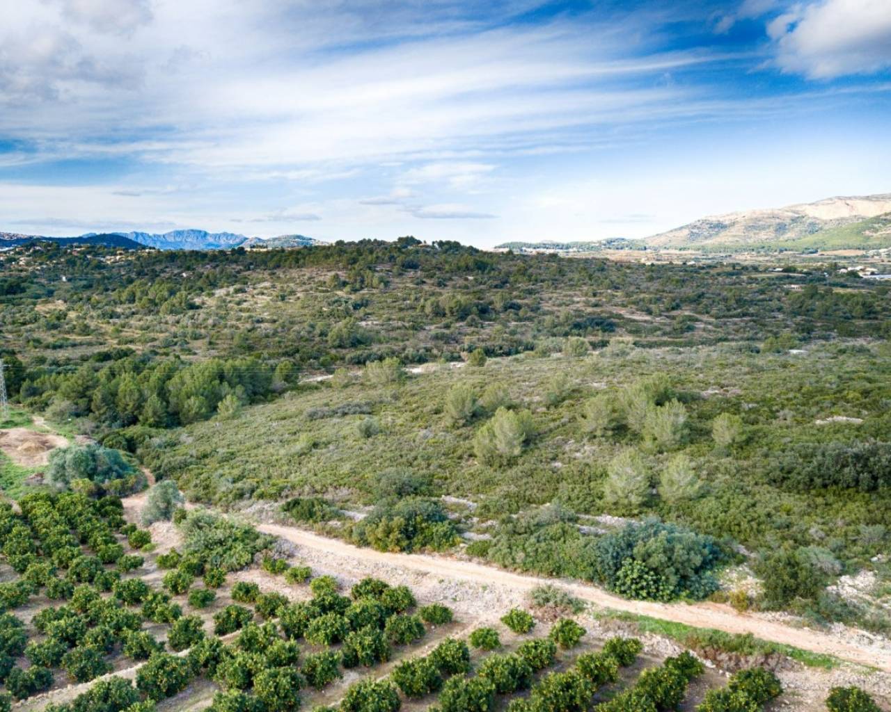 Vente - Finca - Gata De Gorgos - Gata de Gorgos