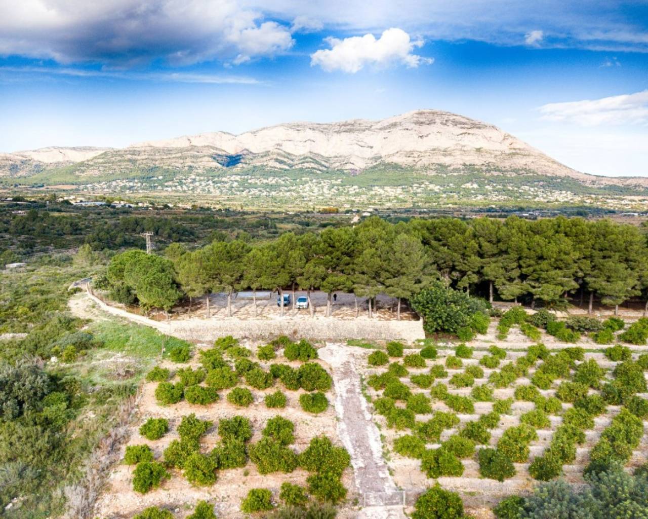 Venta - Finca - Gata De Gorgos - Gata de Gorgos