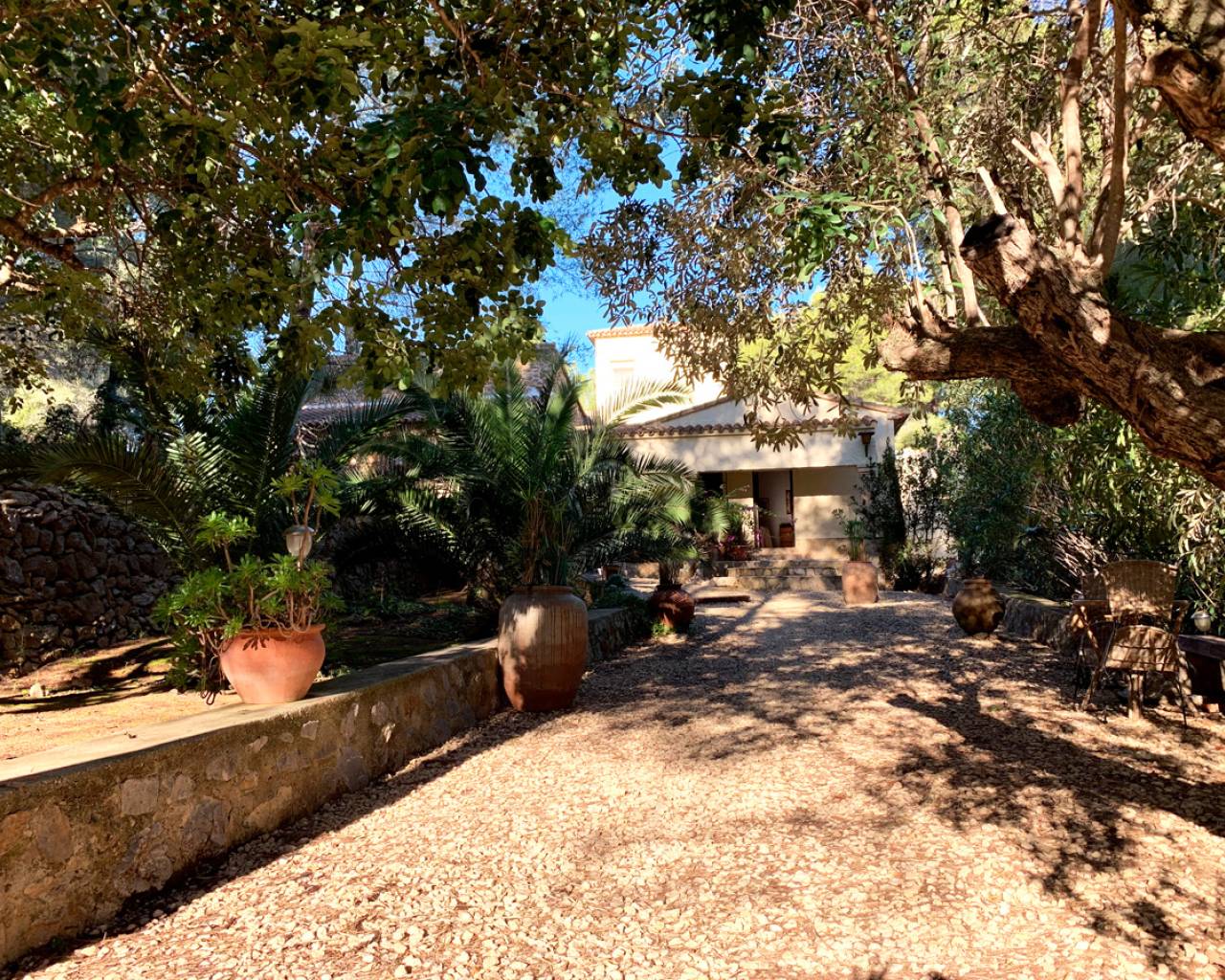 Nueva construcción  - Finca - Pedreguer