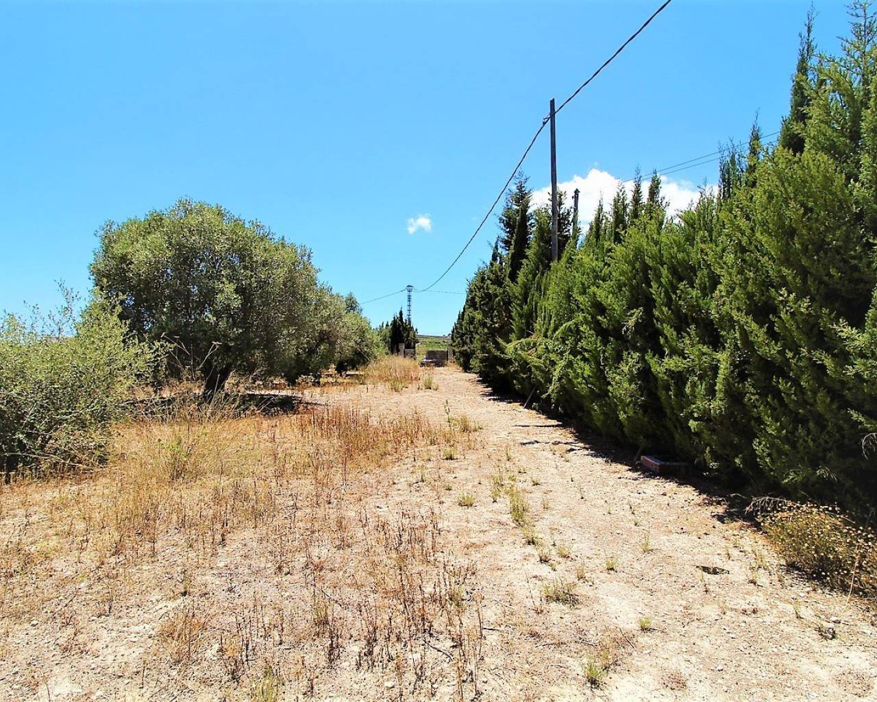 New Build - Finca - Teulada - Campo