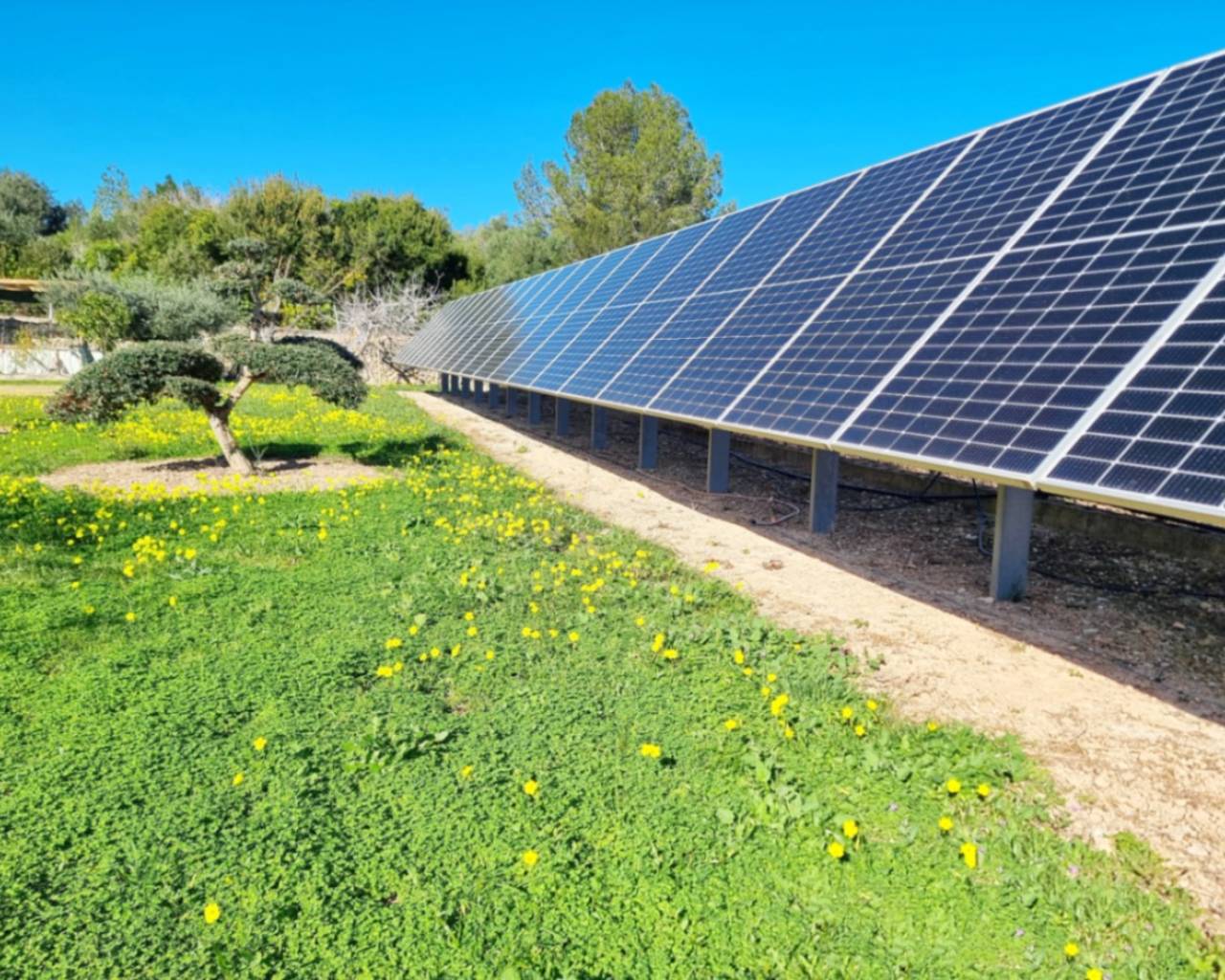 Venta - Finca - Dénia - Denia