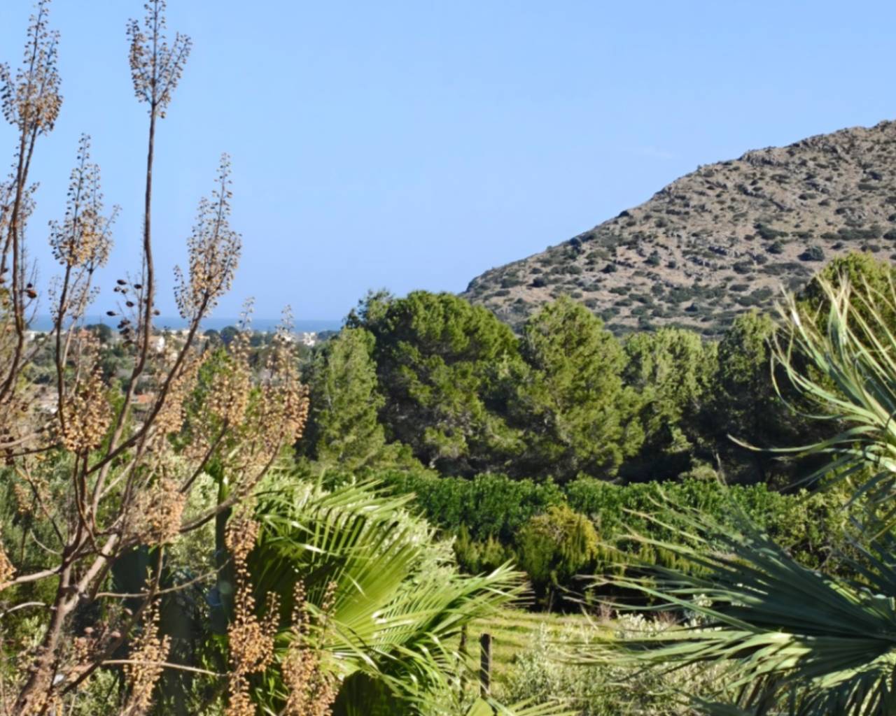Venta - Finca - Dénia - Denia