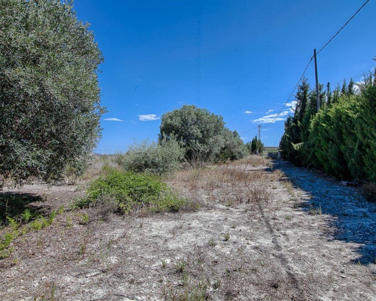 Nueva construcción  - Finca - Moraira