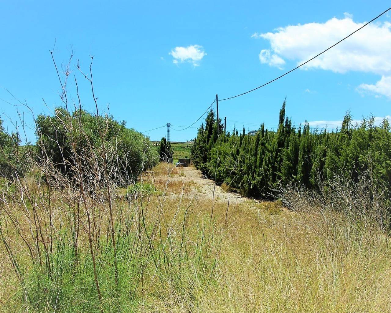 Nueva construcción  - Finca - Teulada - Campo