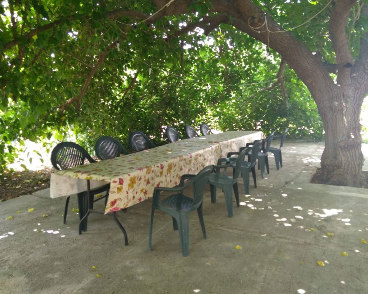 Vente - Finca - Dénia - Casablanca
