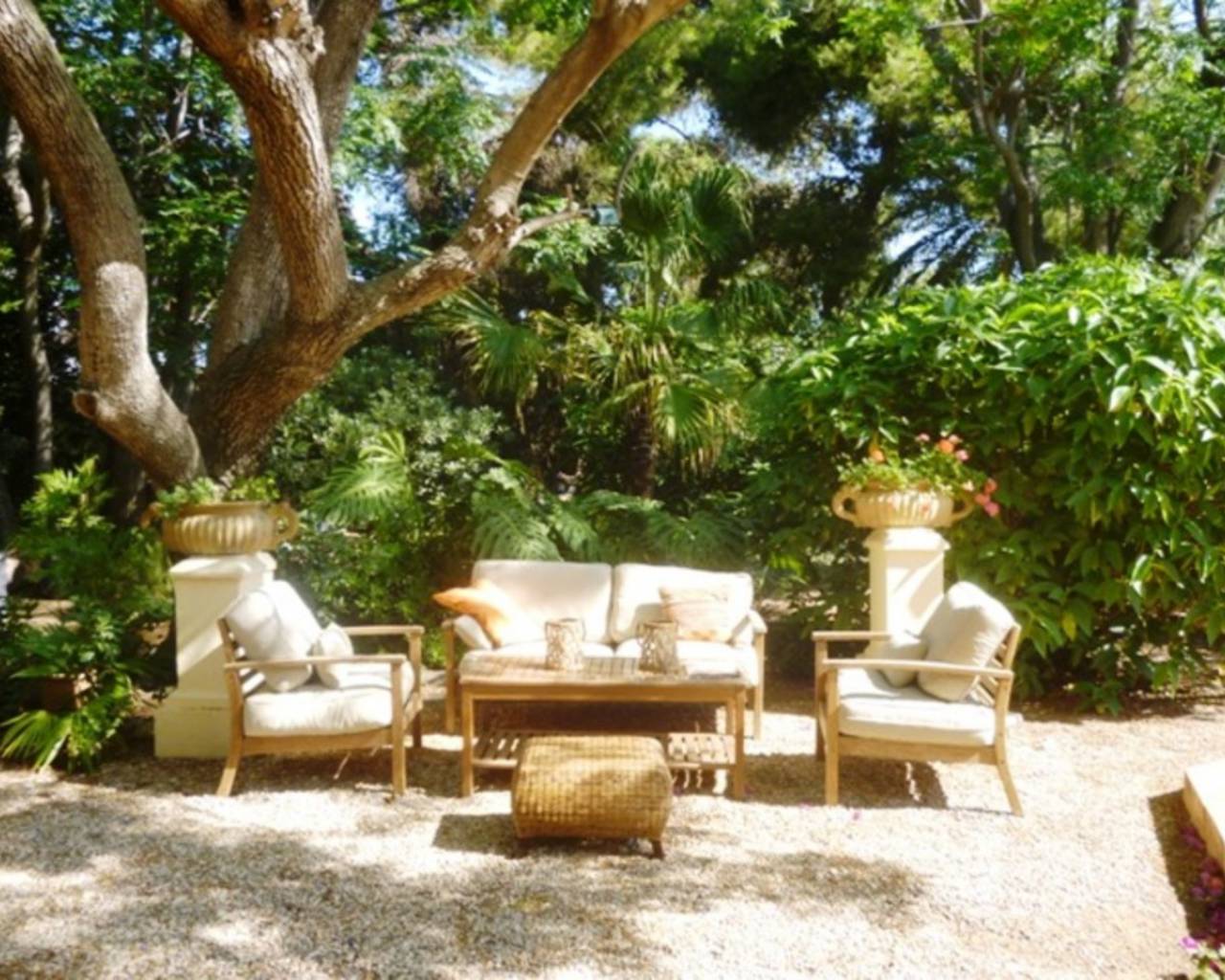 Venta - Finca - Dénia - Denia