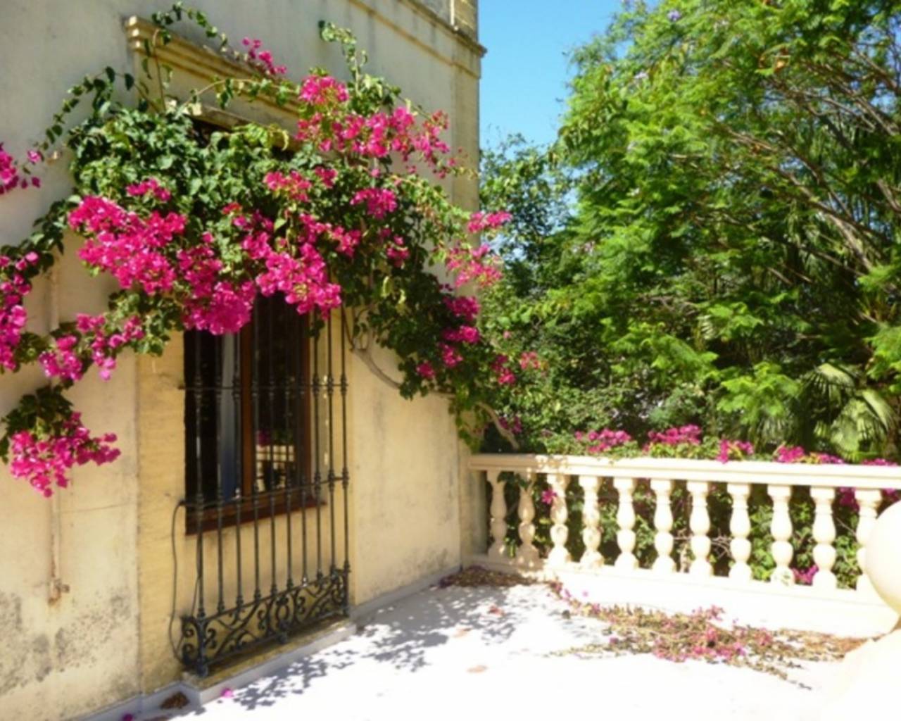 Vente - Finca - Dénia - Denia