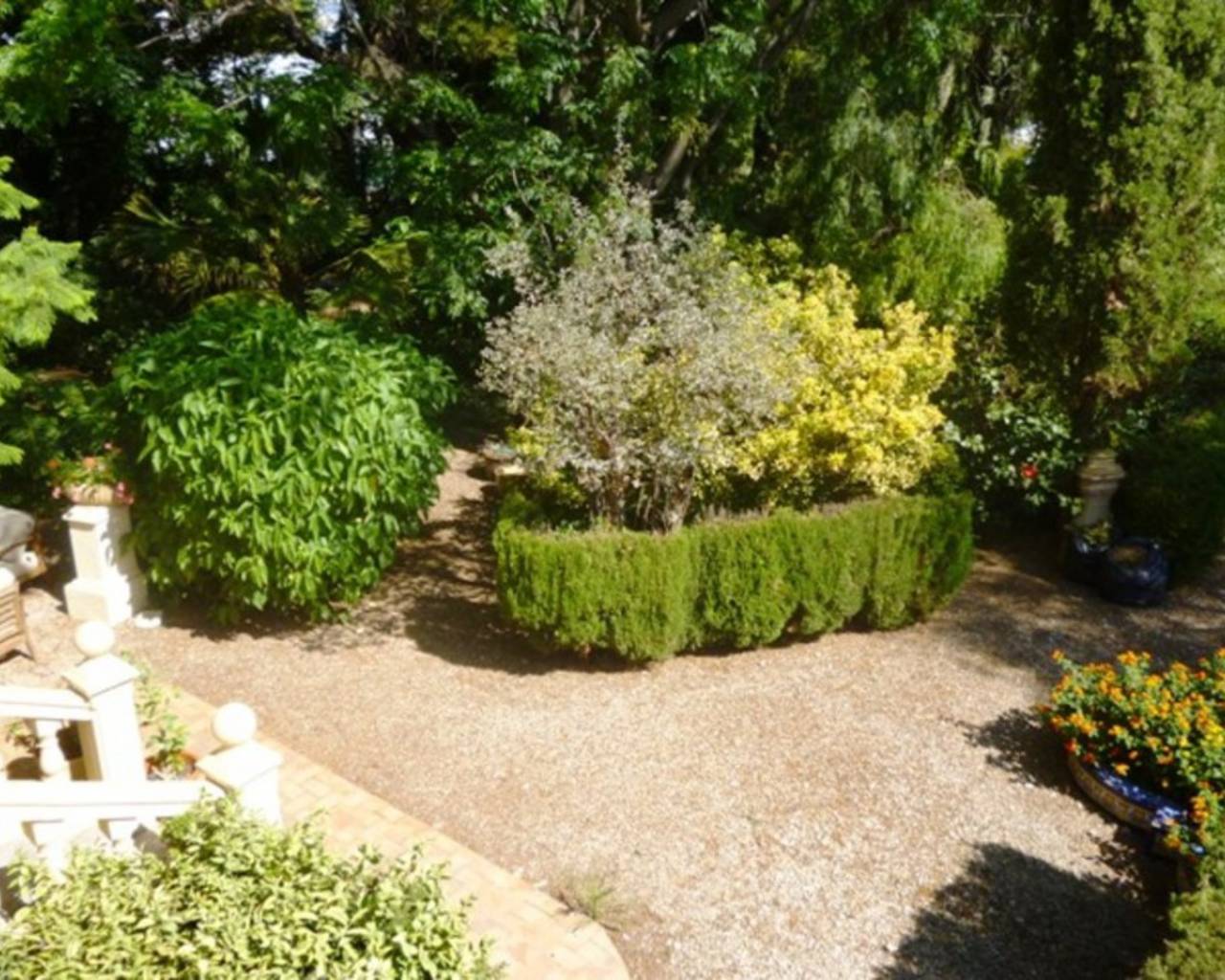 Vente - Finca - Dénia - Denia