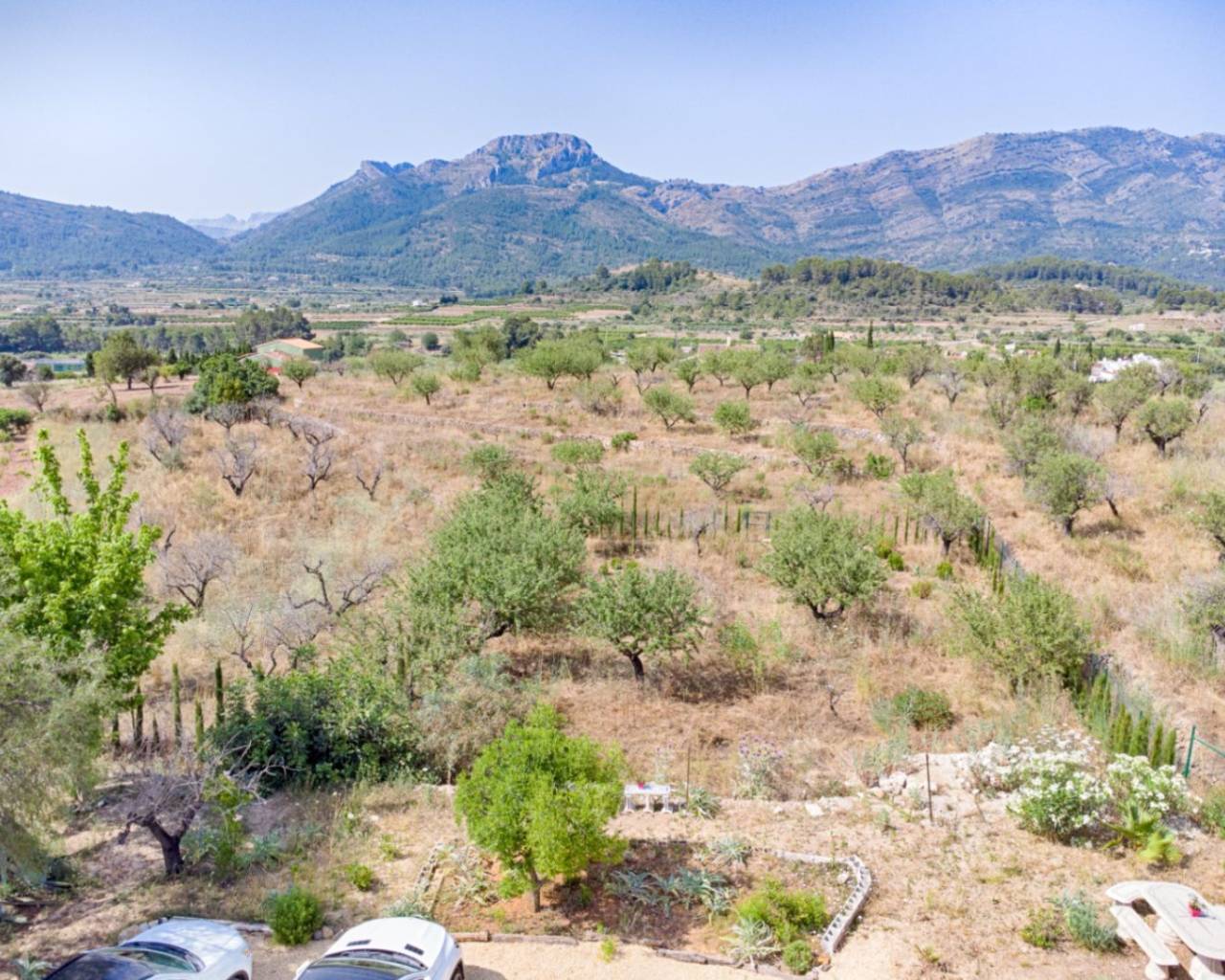 Vente - Finca - Jalon Valley - Alcalali