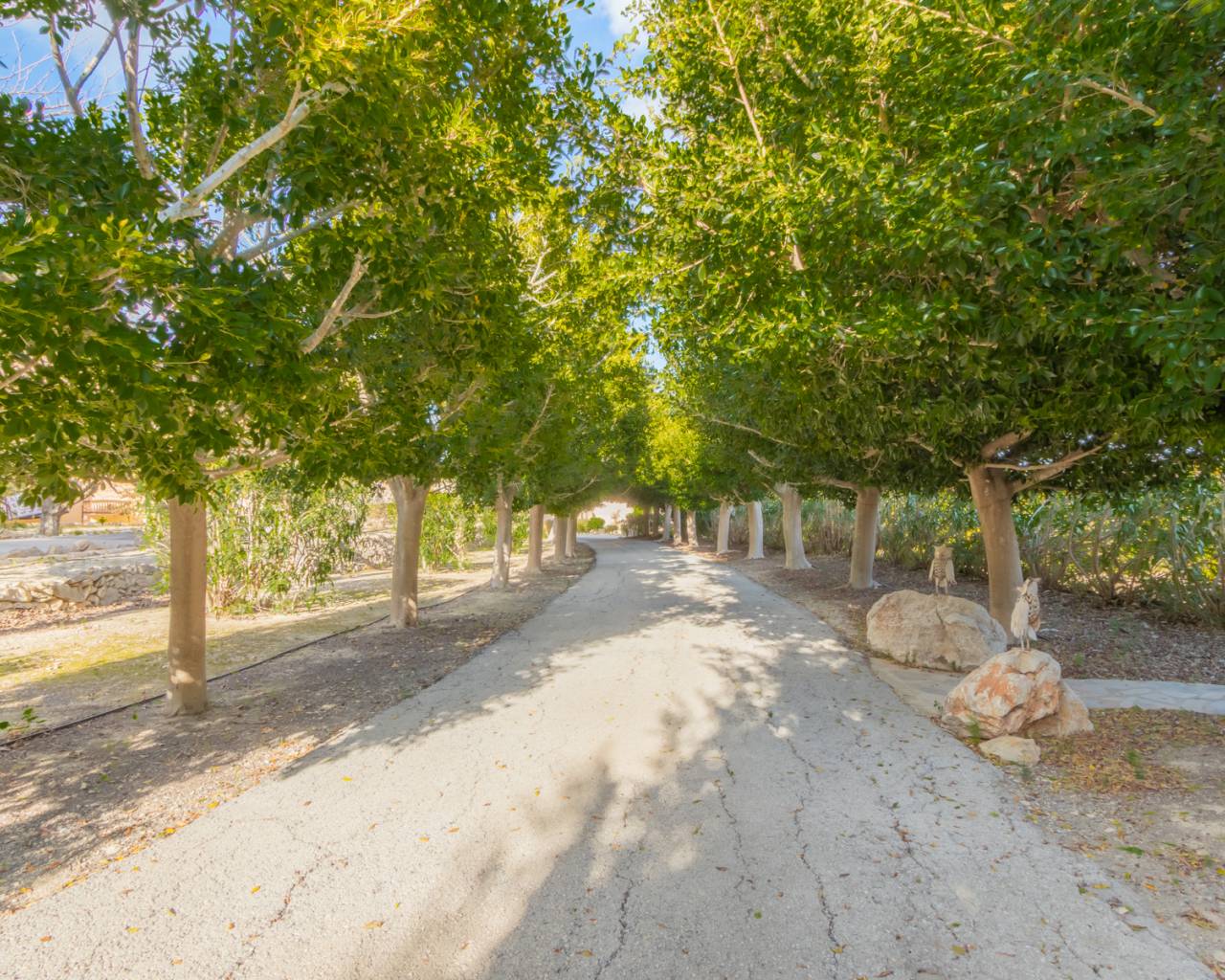 Vente - Finca - Benissa - Campo