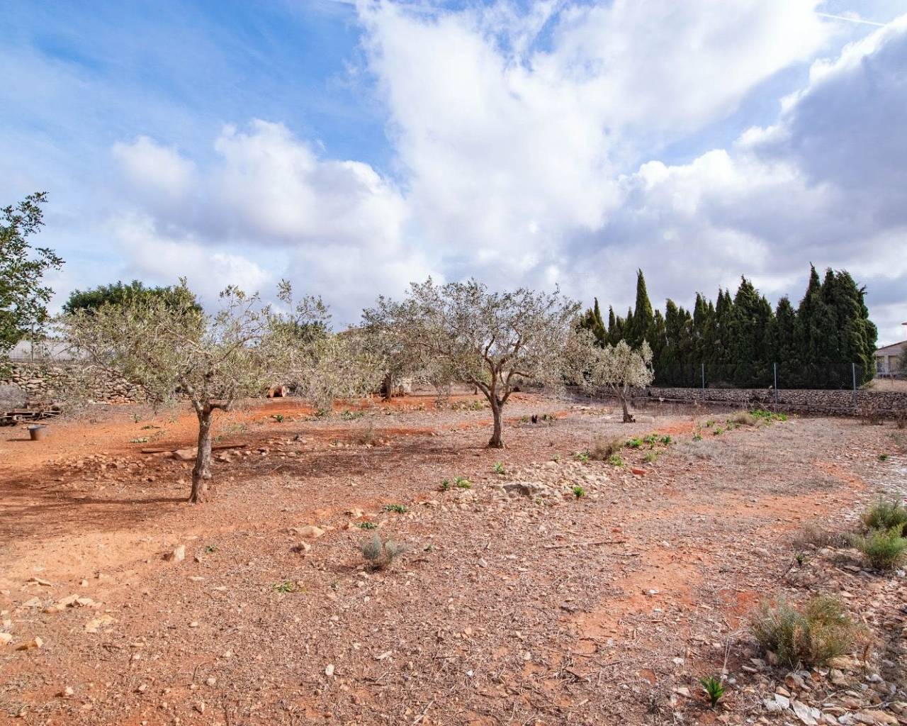 Vente - Finca - Benissa