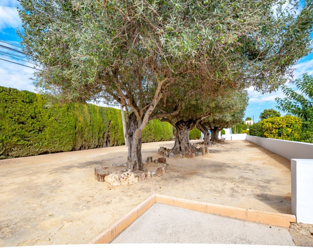 Vente - Finca - Benissa