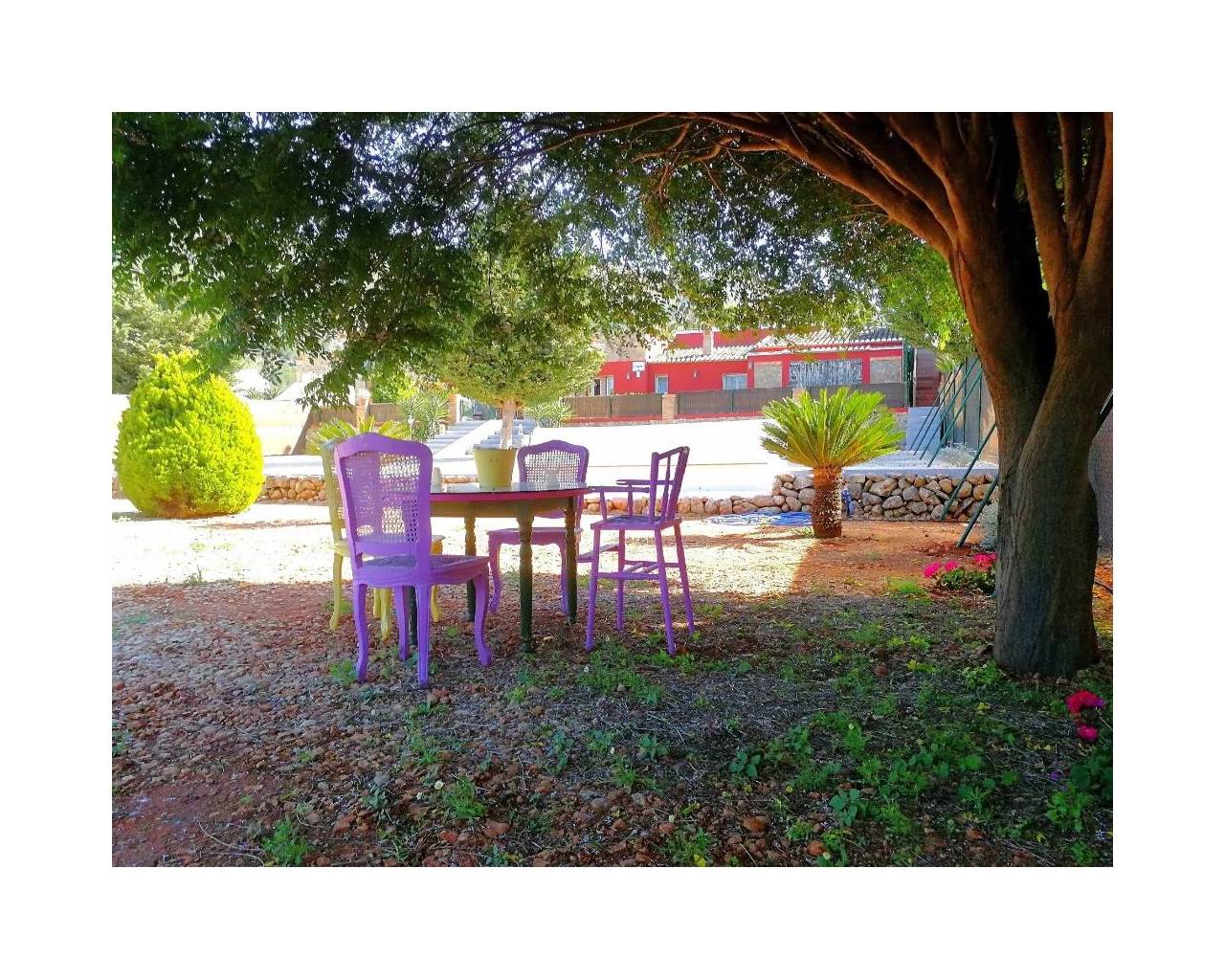 Vente - Finca - Jalon Valley - Jalon