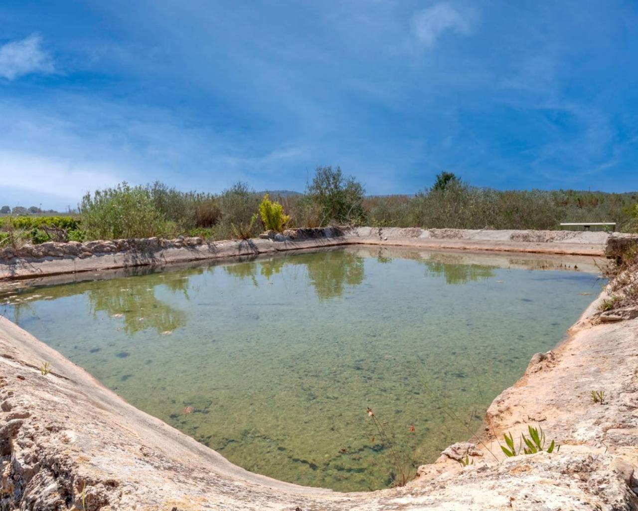 Vente - Finca - Javea