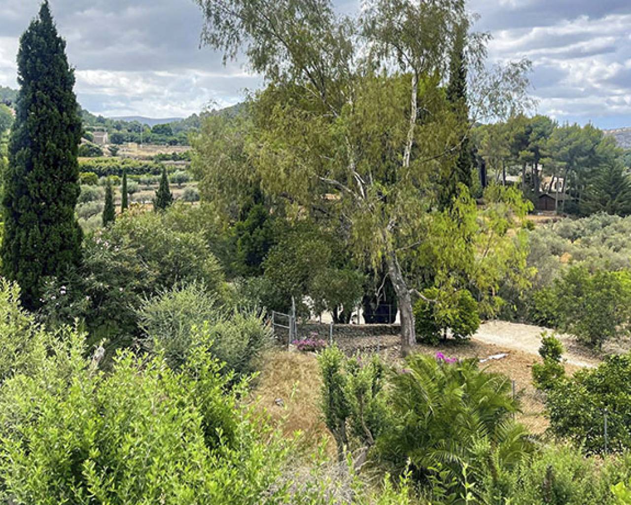 Vente - Finca - Jesús Pobre - Jesus Pobre