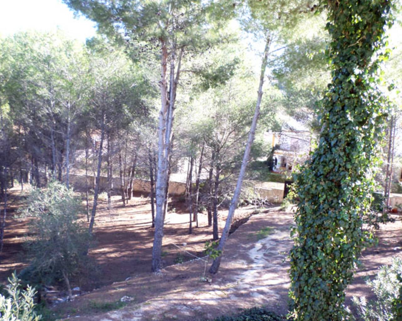 Vente - Finca - La Sella, Denia - La Sella
