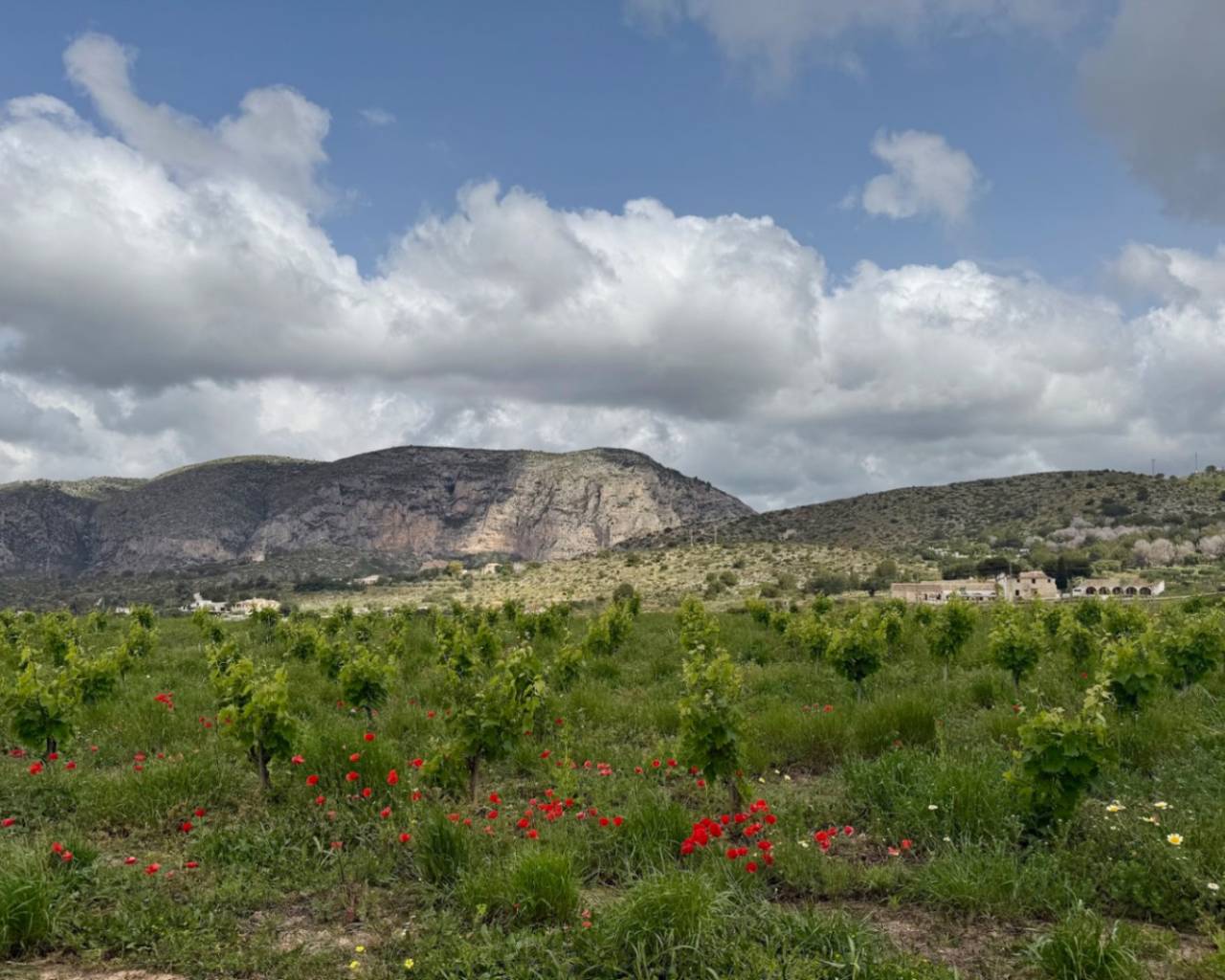 Vente - Finca - Teulada