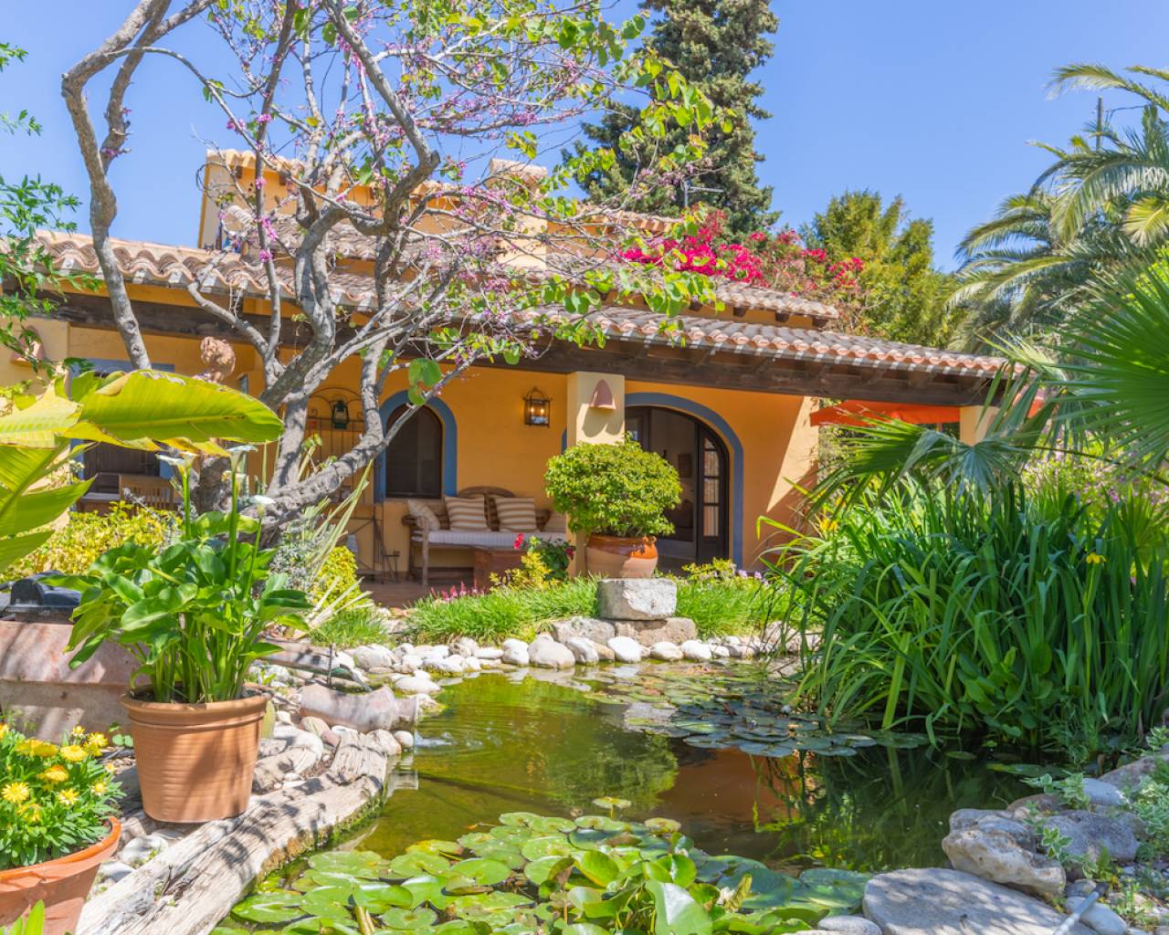 Vente - Finca - Teulada - Campo