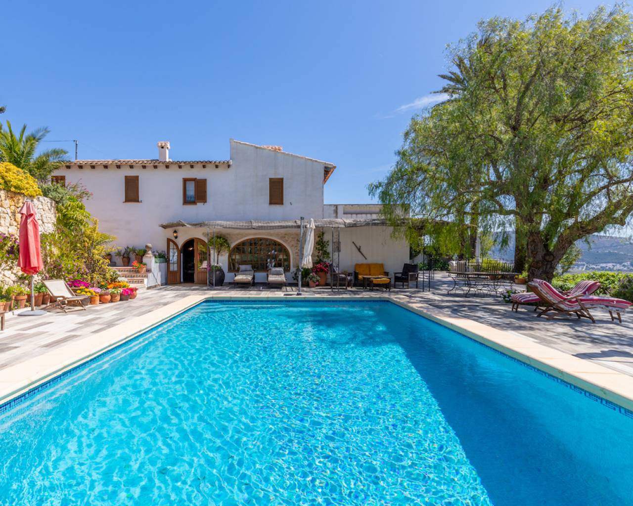 Vente - Finca - Teulada - Campo