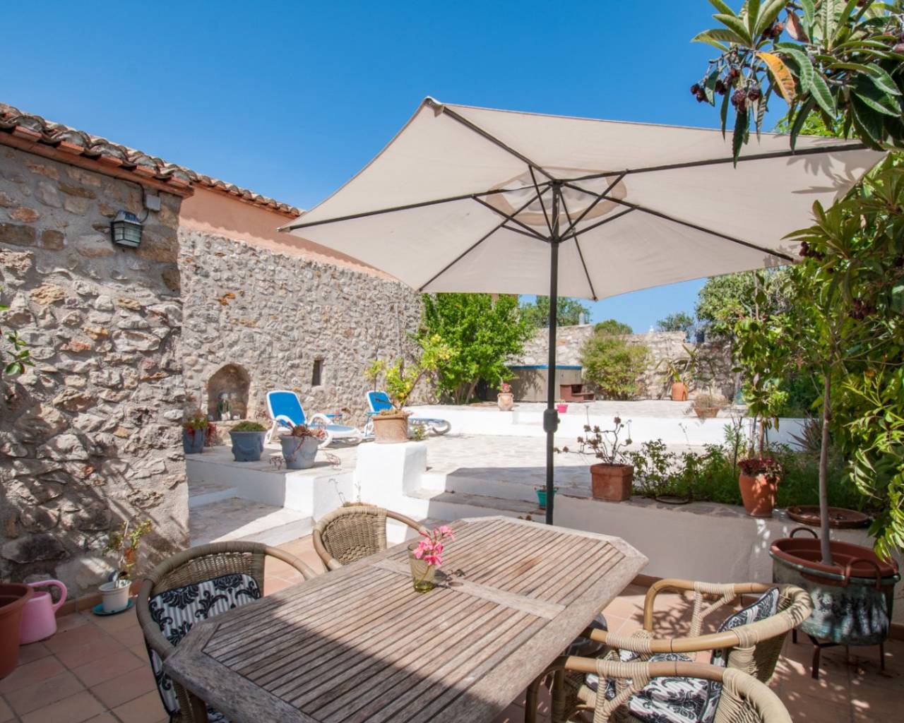 Venta - Finca - Jalon Valley - Alcalali