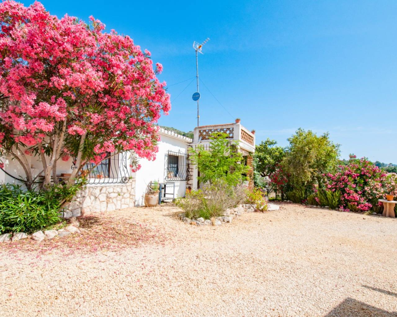 Venta - Finca - Jalon Valley - Alcalali