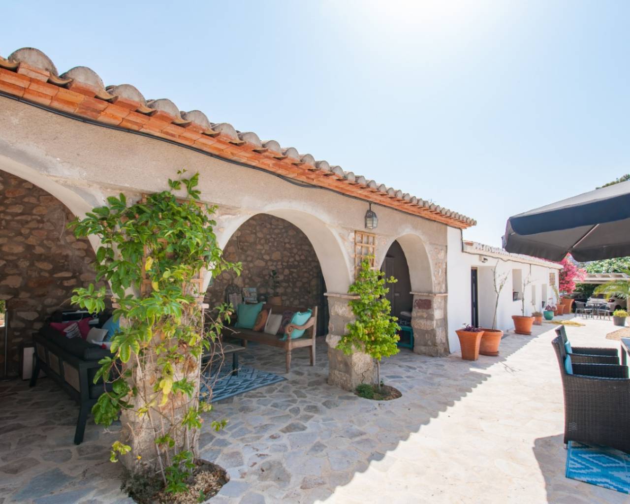 Venta - Finca - Jalon Valley - Alcalali