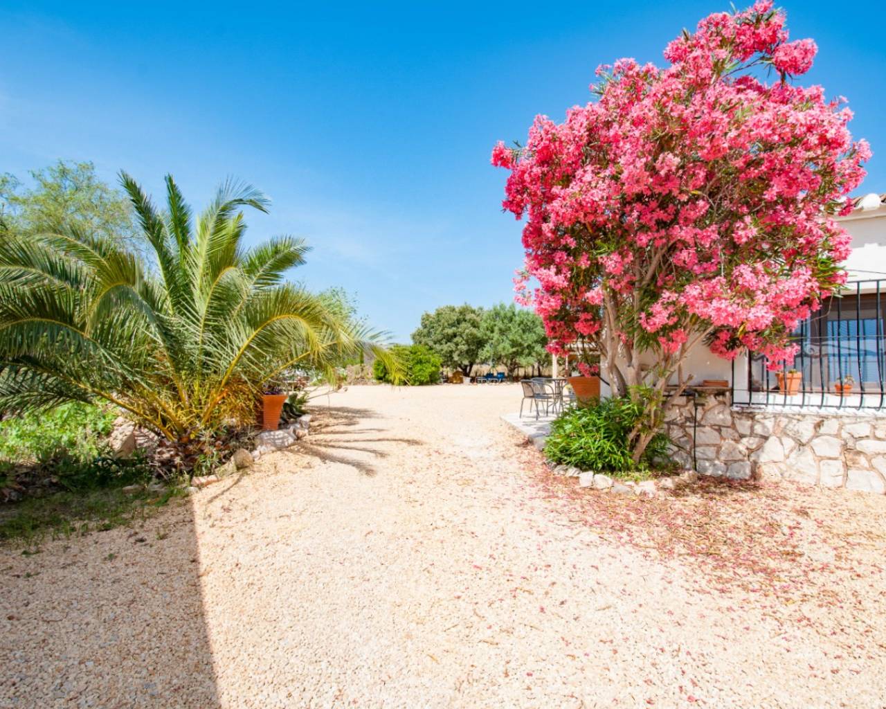 Venta - Finca - Jalon Valley - Alcalali