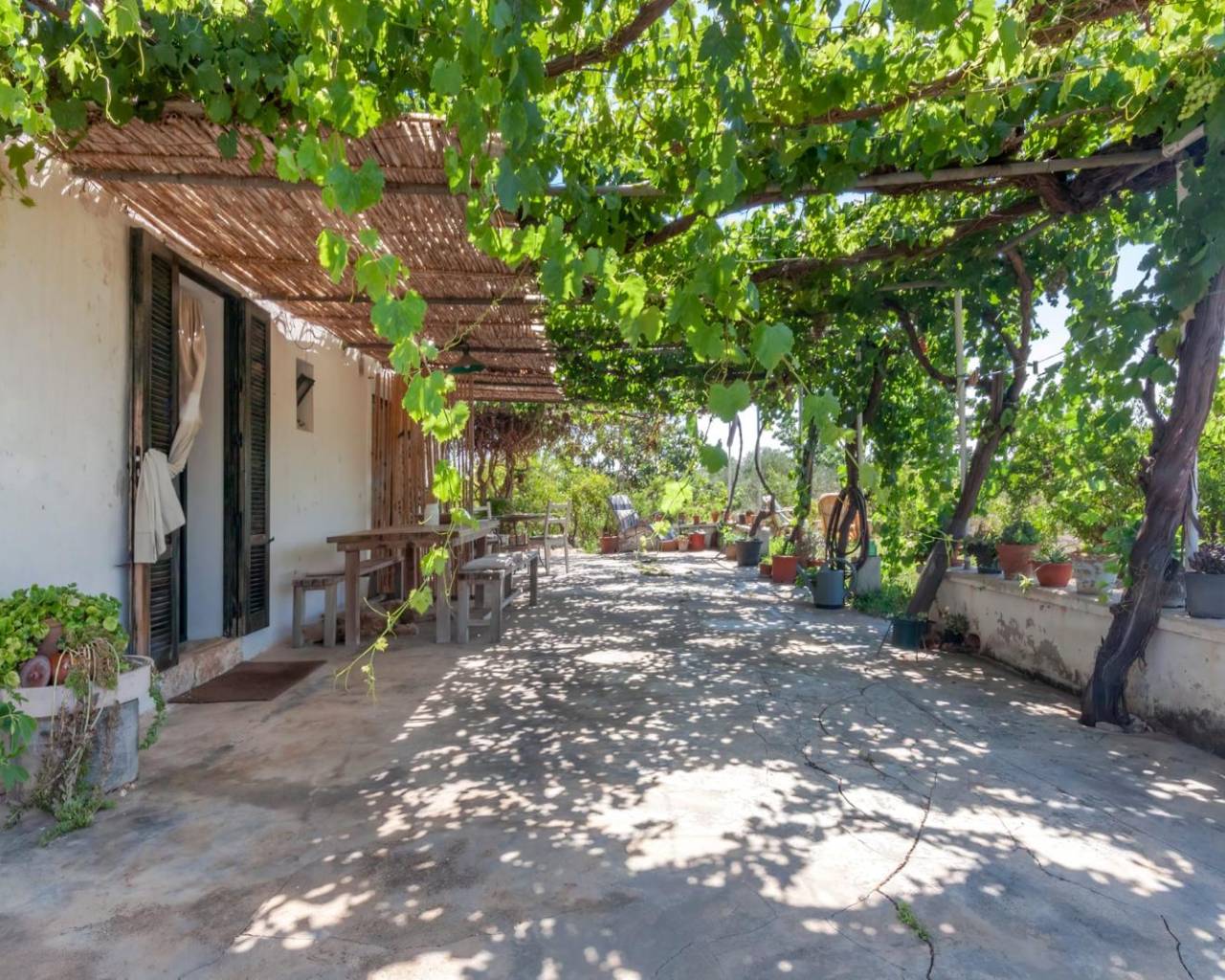 Venta - Finca - Javea