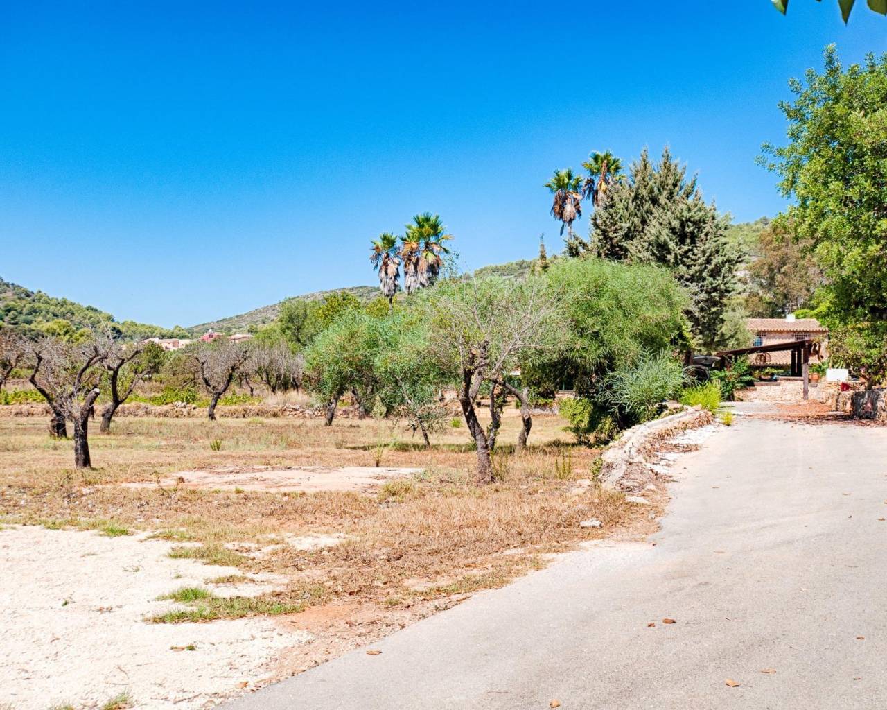 Venta - Finca - Jalon Valley - Campo