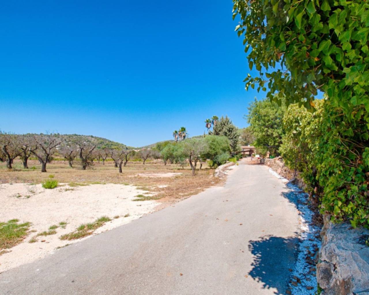 Venta - Finca - Jalon Valley - Campo