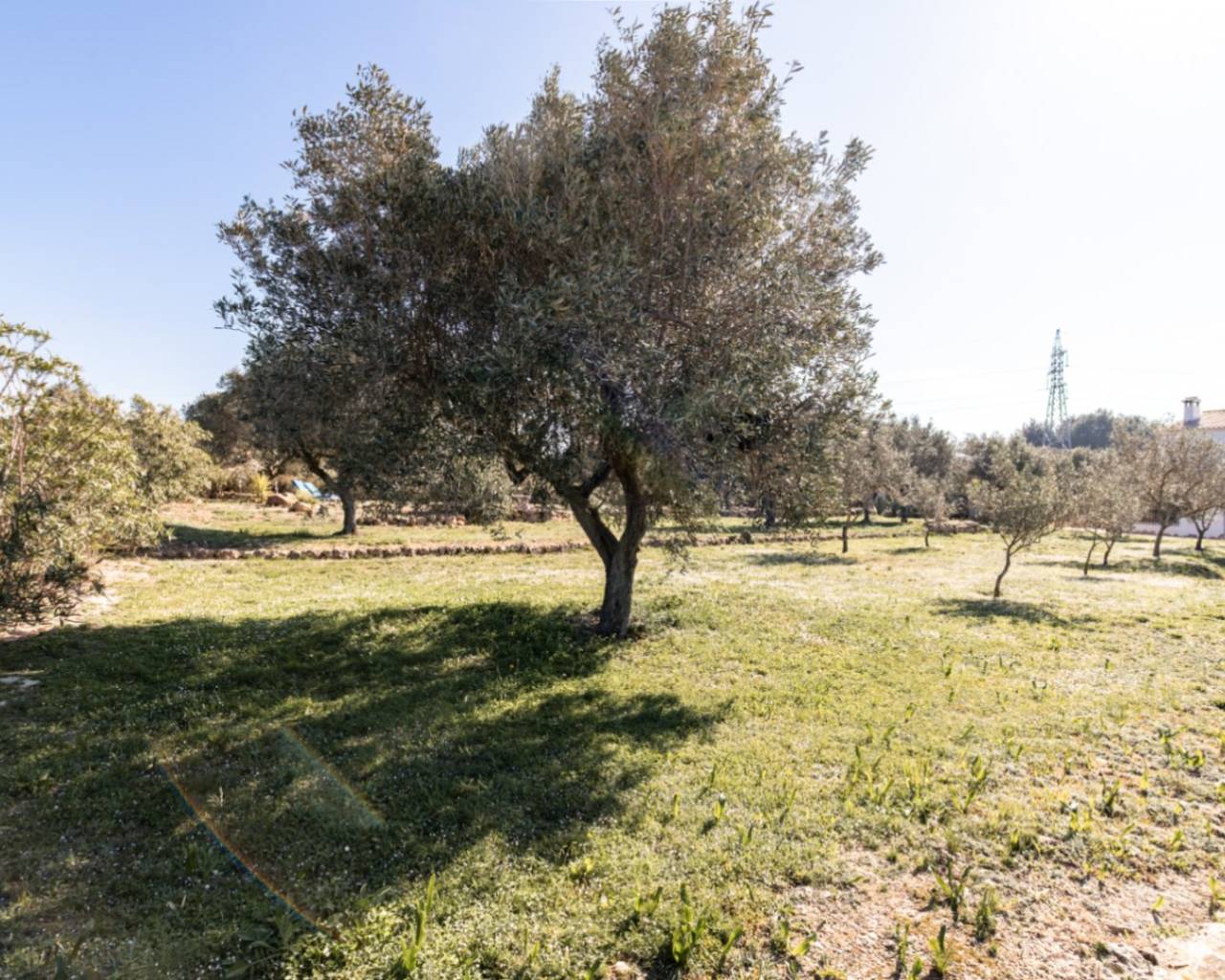 Venta - Finca - Teulada - Canor