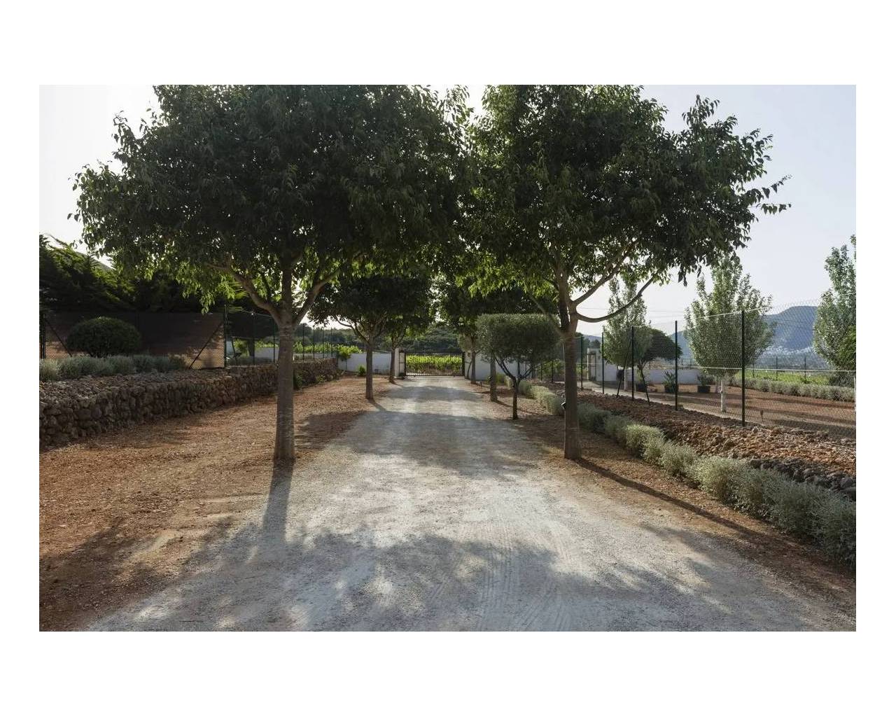 Sales - Finca - Jalon Valley - Jalon