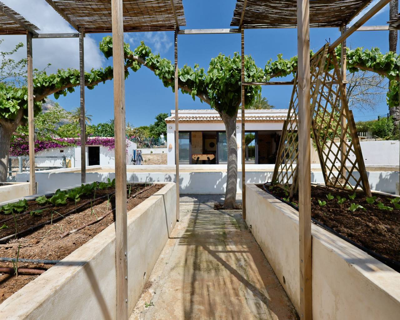 Sales - Finca - Javea