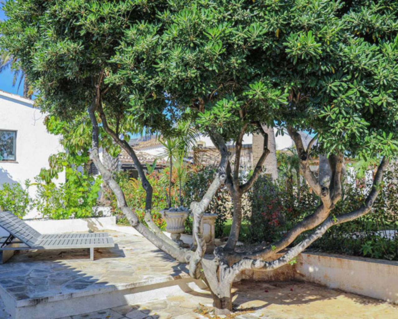 Sales - Finca - Jesús Pobre - Jesus Pobre