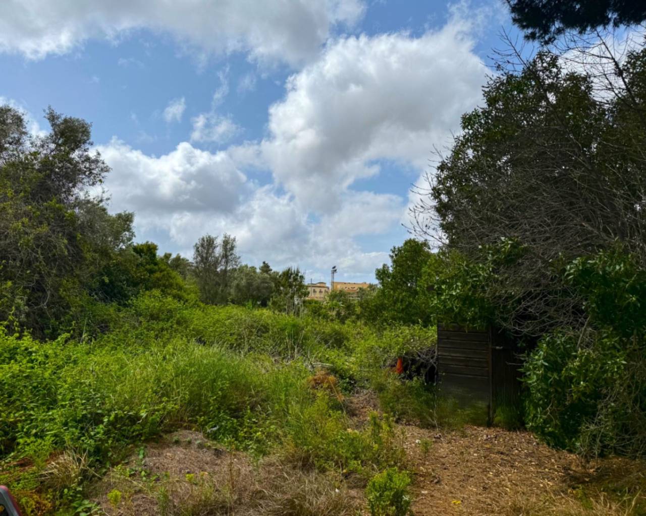 Sales - Finca - Teulada