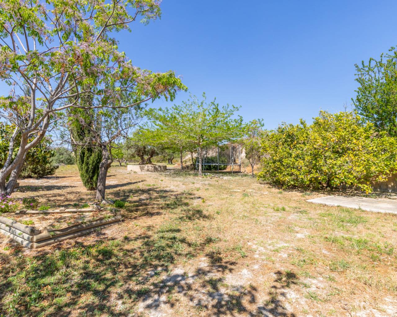 Sales - Finca - Teulada - Campo