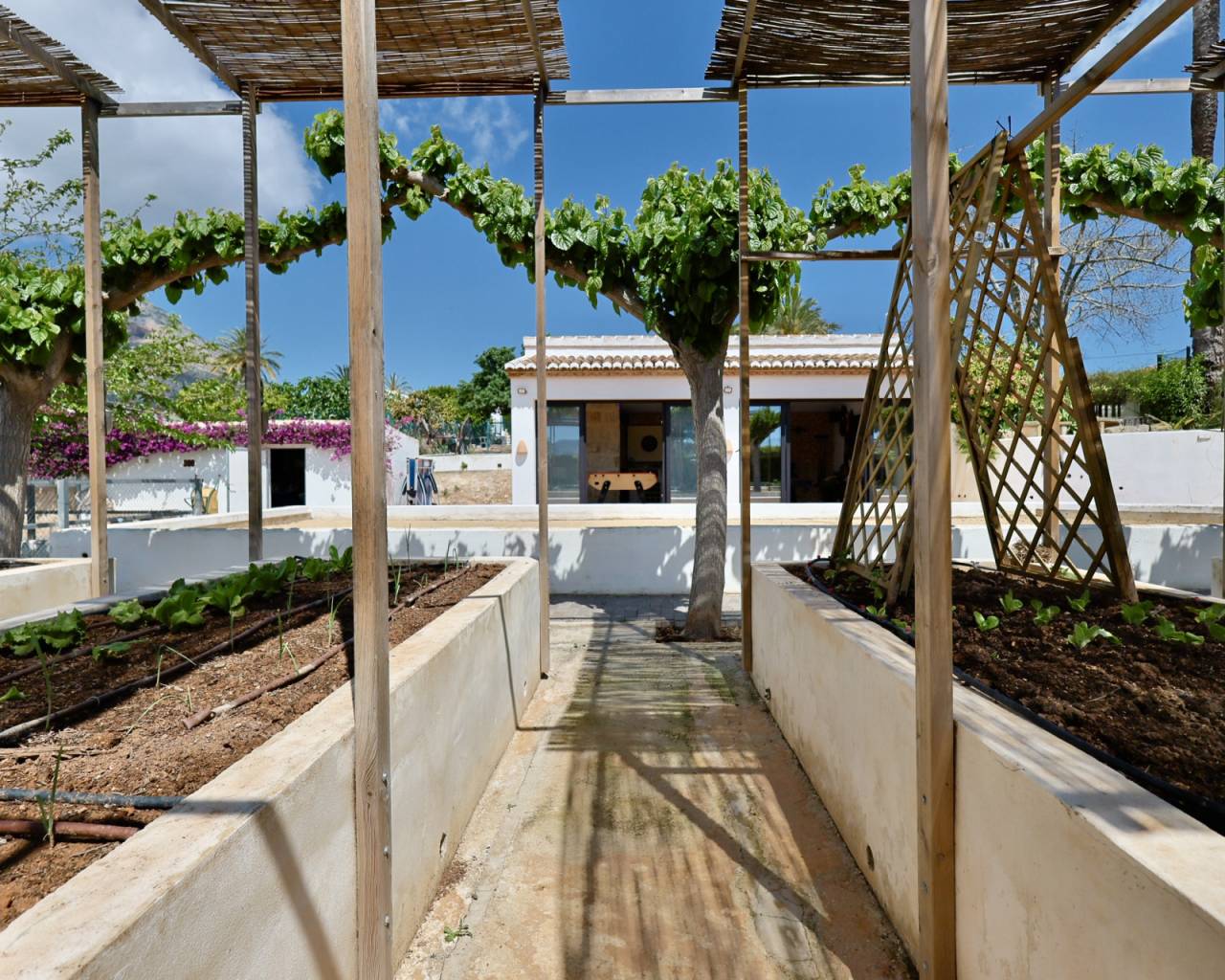 Продажа - Дом в рустикальном стиле - Хавеа - Javea