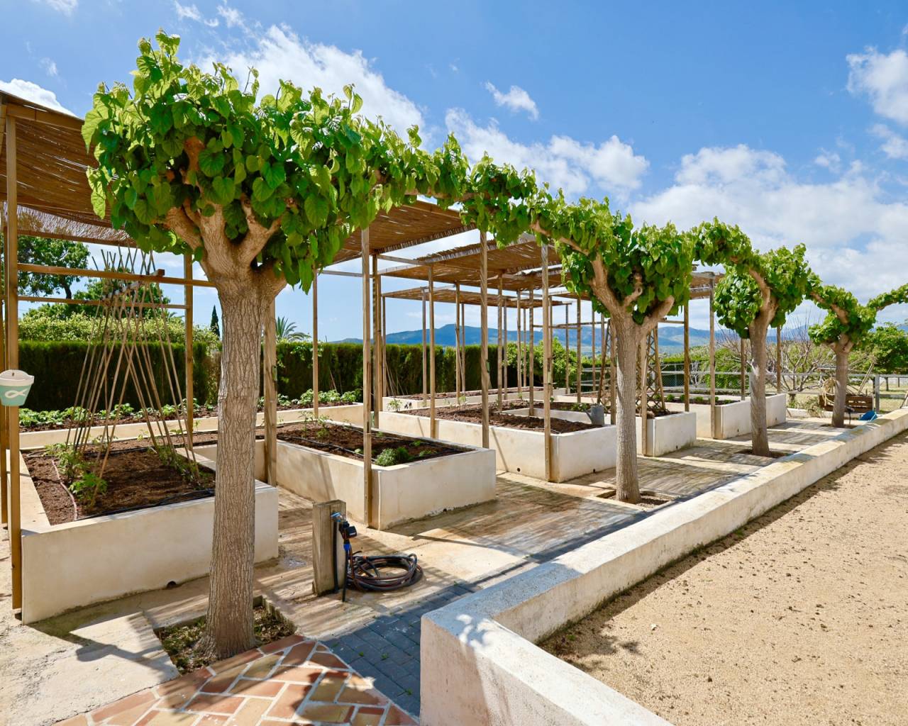 Продажа - Дом в рустикальном стиле - Хавеа - Javea