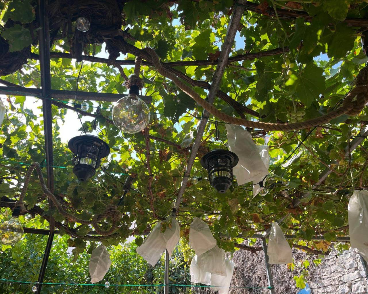 Vente - Maison de ville - Castell de Castells