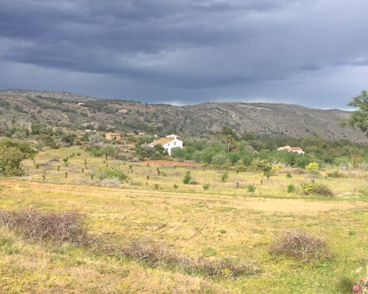 Продажа - Участок - Бенисса - Rural