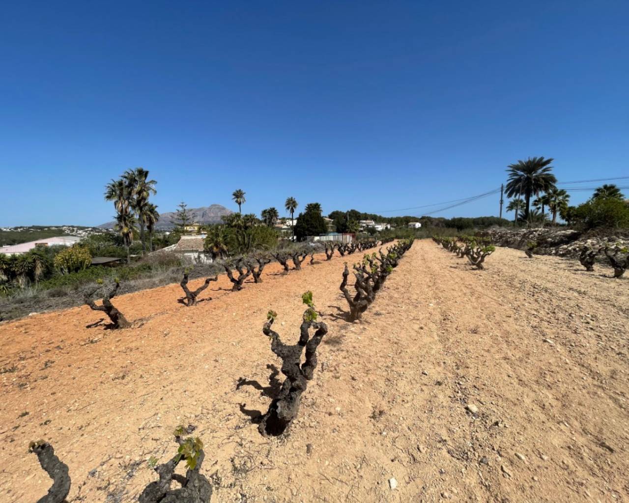 Продажа - Участок - Бенитачель - Benitachell