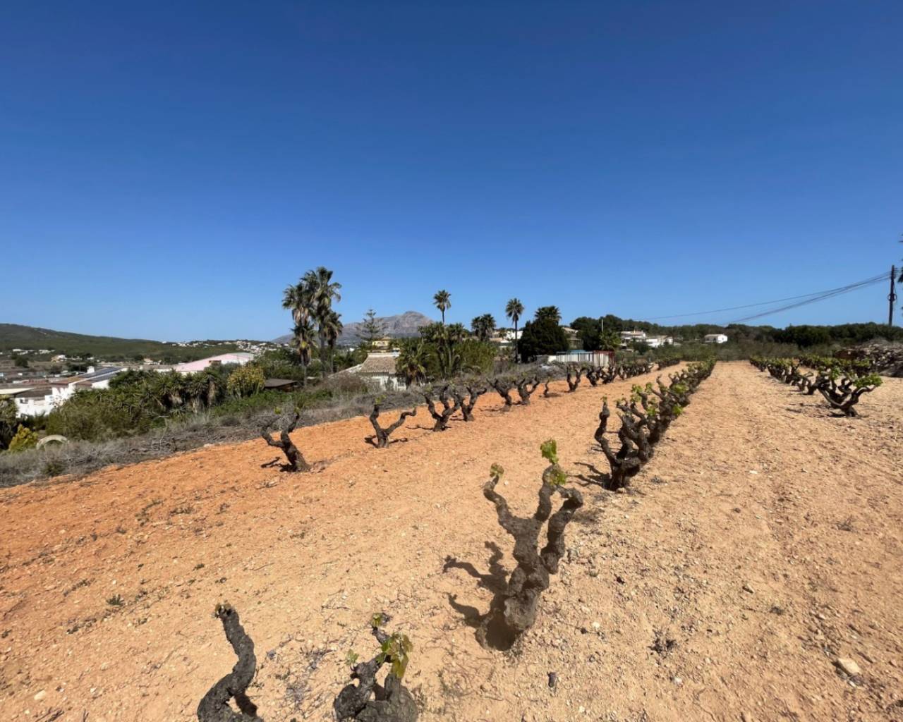 Продажа - Участок - Бенитачель - Benitachell