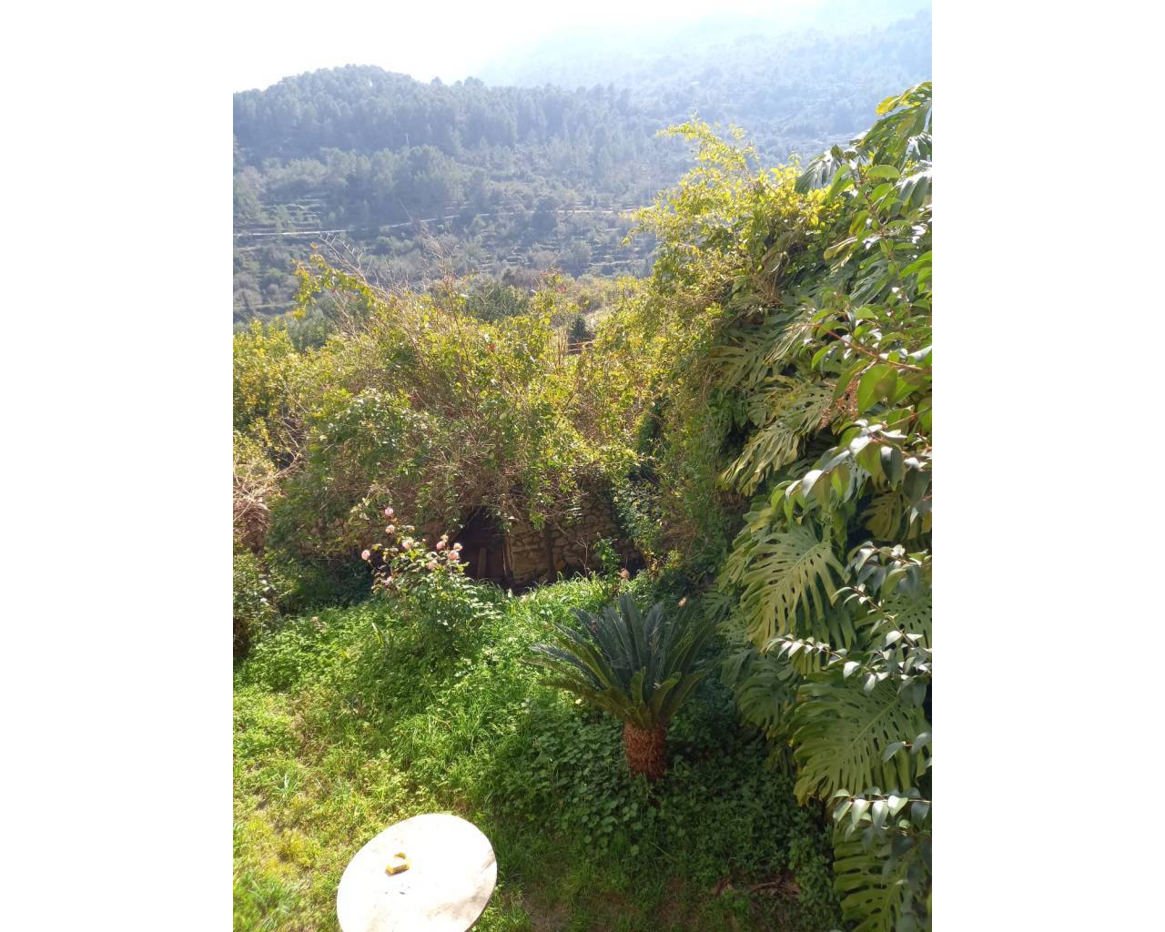 Продажа - Загородный дом - Валь де Лагуар - La Vall De Laguar