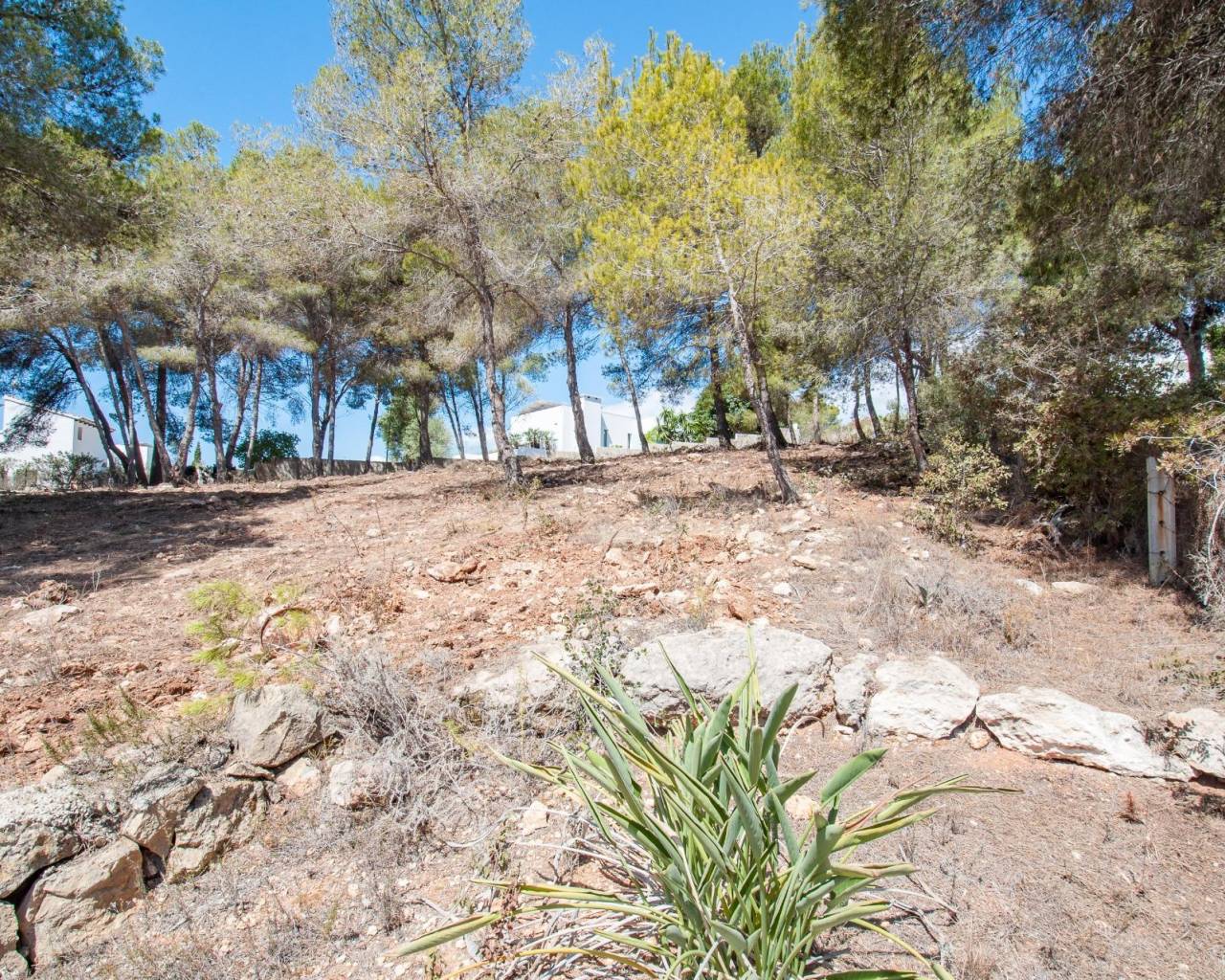 Продажа - Участок - Морайра - Moraira