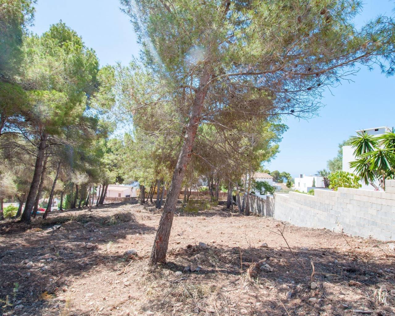 Продажа - Участок - Морайра - Moraira