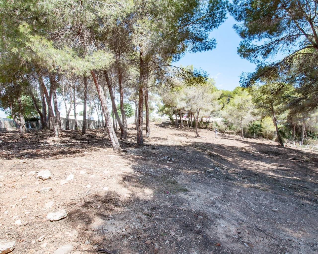 Продажа - Участок - Морайра - Moraira